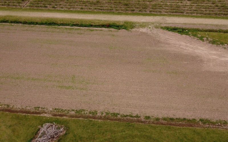 Светлое убранное поле с дорогой по краю, вид сверху