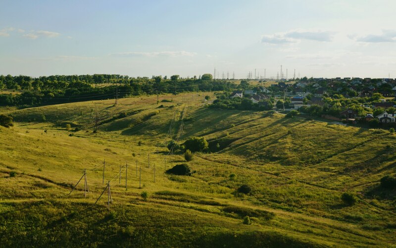 Заросший пустырь у линии электропередачи, вид с высоты